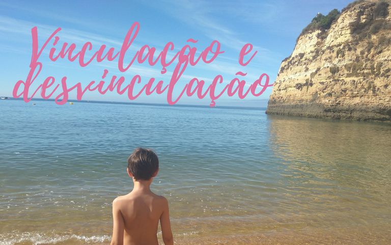 Vinculação e desvinculação - Educadora Sílvia